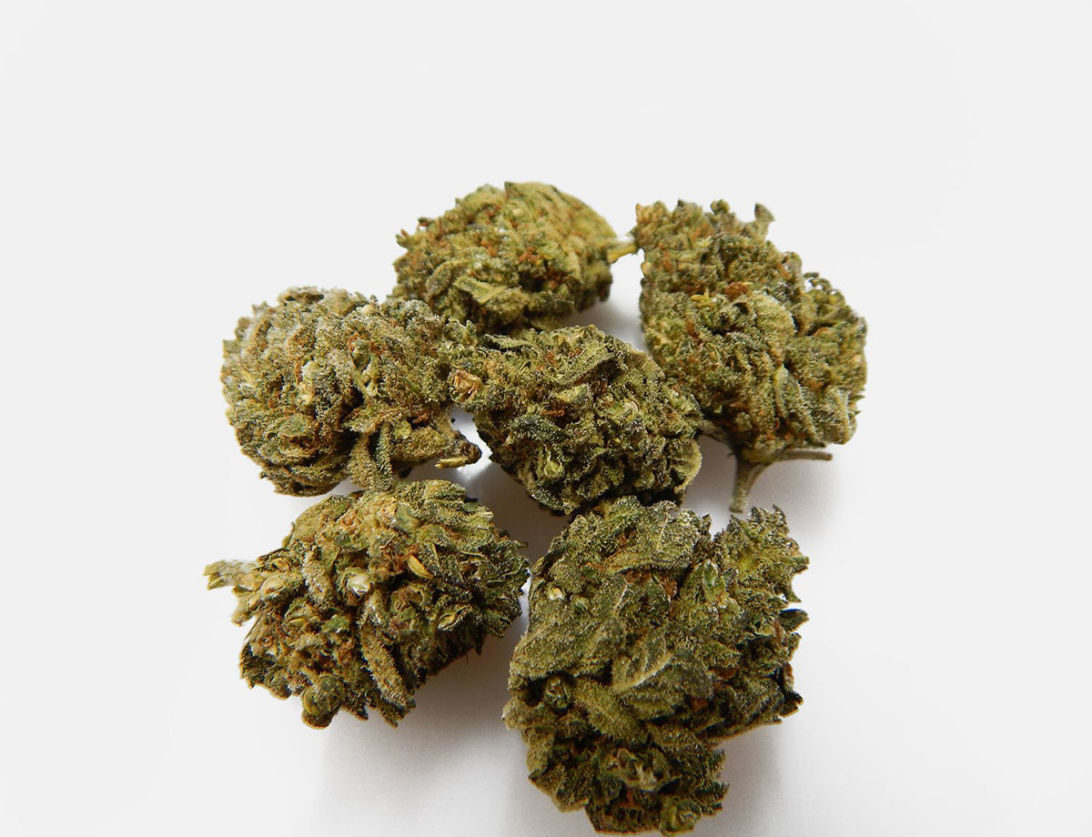 CBD Aromablüten Amnesia Haze von Code be Calm